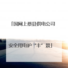 国网上蔡县供电公司安全用电护“丰”景