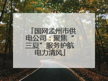 国网孟州市供电公司：聚焦“三夏”服务护航电力清风