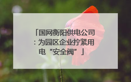 国网衡阳供电公司：为园区企业拧紧用电“安全阀”