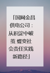 国网金昌供电公司：从积淀中破茧 蝶变社会责任实践新路径
