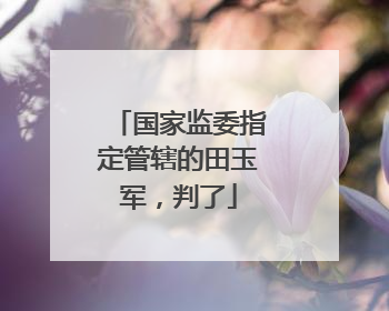 国家监委指定管辖的田玉军，判了