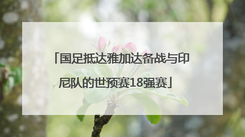 国足抵达雅加达备战与印尼队的世预赛18强赛