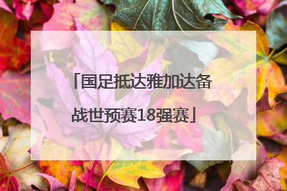 国足抵达雅加达备战世预赛18强赛