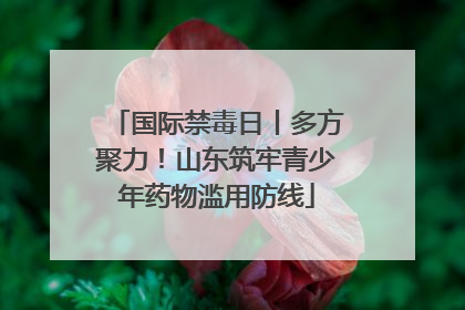 国际禁毒日丨多方聚力！山东筑牢青少年药物滥用防线