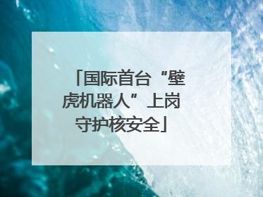 国际首台“壁虎机器人”上岗守护核安全