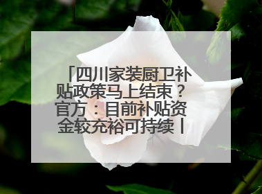 四川家装厨卫补贴政策马上结束？官方：目前补贴资金较充裕可持续丨民情瞭望