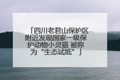 四川老君山保护区附近发现国家一级保护动物小灵猫 被称为“生态试纸”