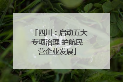 四川：启动五大专项治理 护航民营企业发展