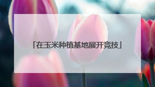 在玉米种植基地展开竞技