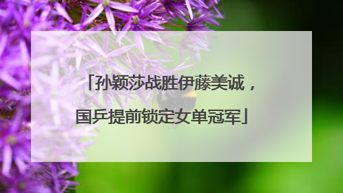 孙颖莎战胜伊藤美诚，国乒提前锁定女单冠军
