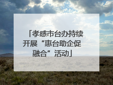 孝感市台办持续开展“惠台助企促融合”活动