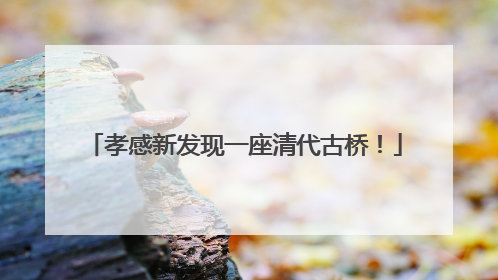 孝感新发现一座清代古桥！