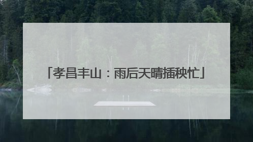 孝昌丰山：雨后天晴插秧忙