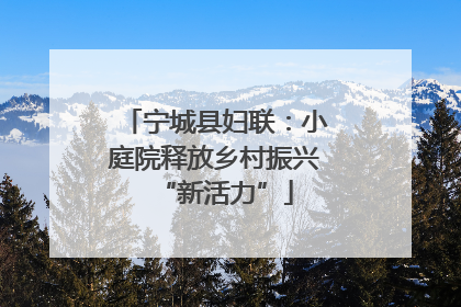 宁城县妇联：小庭院释放乡村振兴“新活力”