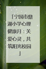 宁国市鼎湖小学心理健康月：关爱心灵，共筑阳光校园