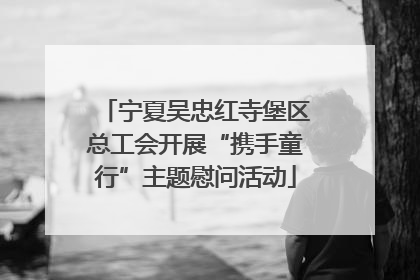 宁夏吴忠红寺堡区总工会开展“携手童行”主题慰问活动