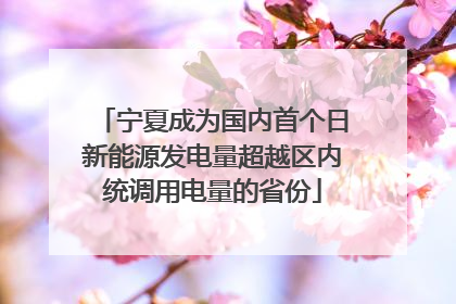宁夏成为国内首个日新能源发电量超越区内统调用电量的省份
