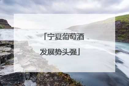 宁夏葡萄酒发展势头强