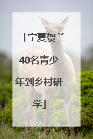 宁夏贺兰40名青少年到乡村研学
