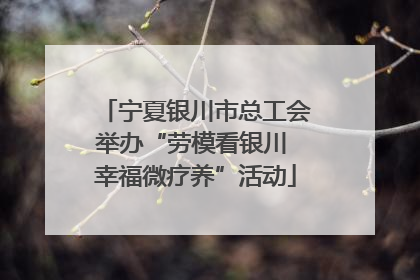 宁夏银川市总工会举办“劳模看银川 幸福微疗养”活动