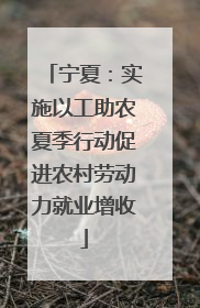 宁夏：实施以工助农夏季行动促进农村劳动力就业增收