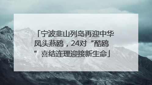 宁波韭山列岛再迎中华凤头燕鸥，24对“酷鸥”喜结连理迎接新生命