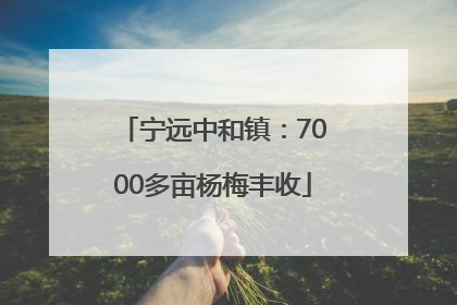 宁远中和镇：7000多亩杨梅丰收