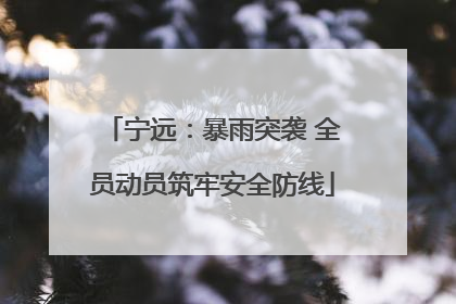 宁远：暴雨突袭 全员动员筑牢安全防线