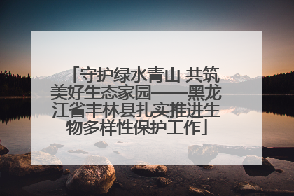 守护绿水青山 共筑美好生态家园——黑龙江省丰林县扎实推进生物多样性保护工作