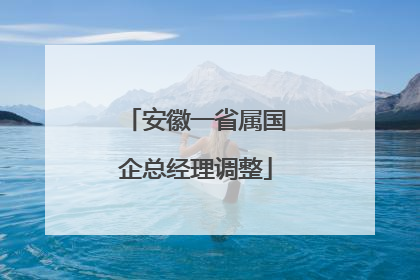 安徽一省属国企总经理调整