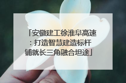 安徽建工徐淮阜高速：打造智慧建造标杆 铺就长三角融合坦途