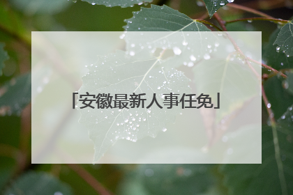 安徽最新人事任免