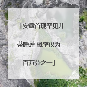 安徽首现罕见并蒂睡莲 概率仅为百万分之一