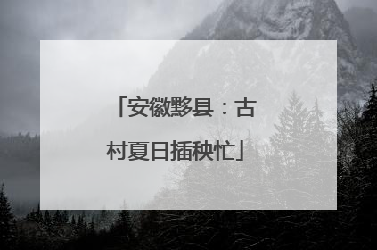 安徽黟县：古村夏日插秧忙