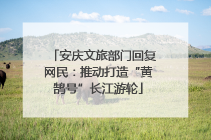 安庆文旅部门回复网民：推动打造“黄鹄号”长江游轮