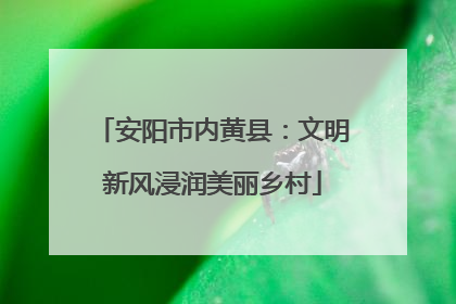 安阳市内黄县：文明新风浸润美丽乡村