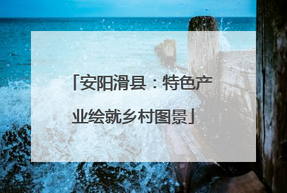 安阳滑县：特色产业绘就乡村图景