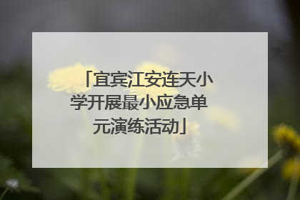 宜宾江安连天小学开展最小应急单元演练活动