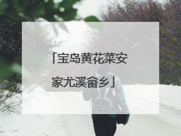 宝岛黄花菜安家尤溪畲乡
