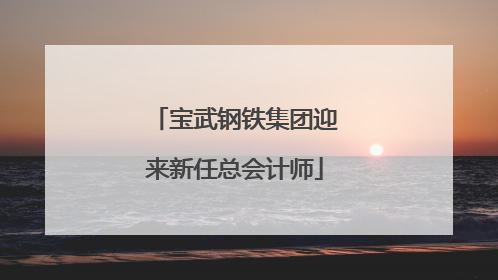 宝武钢铁集团迎来新任总会计师