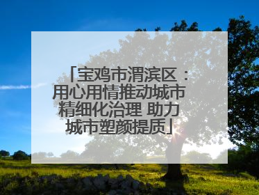 宝鸡市渭滨区：用心用情推动城市精细化治理 助力城市塑颜提质