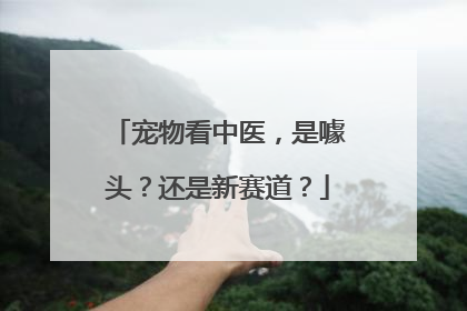 宠物看中医，是噱头？还是新赛道？