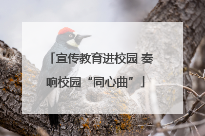 宣传教育进校园 奏响校园“同心曲”