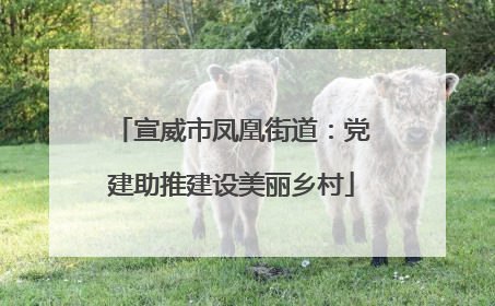 宣威市凤凰街道：党建助推建设美丽乡村