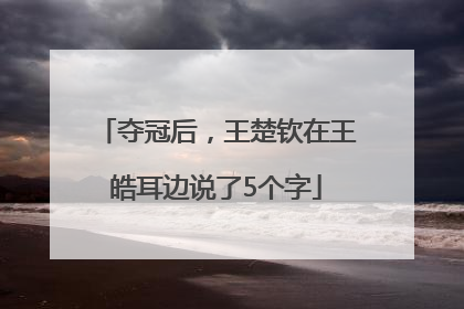夺冠后，王楚钦在王皓耳边说了5个字