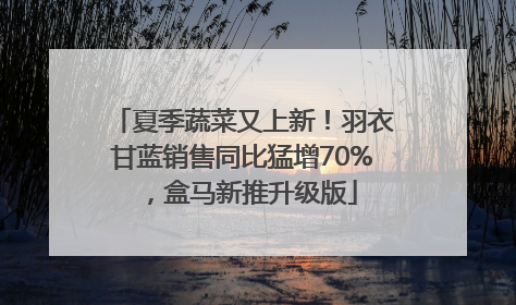 夏季蔬菜又上新！羽衣甘蓝销售同比猛增70%，盒马新推升级版