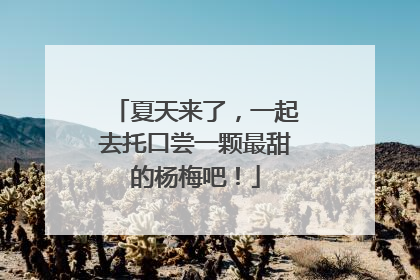 夏天来了，一起去托口尝一颗最甜的杨梅吧！
