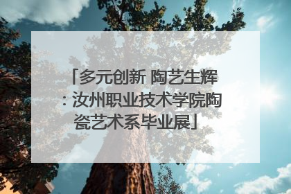 多元创新 陶艺生辉：汝州职业技术学院陶瓷艺术系毕业展