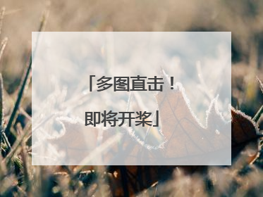 多图直击！即将开桨
