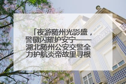 夜游随州光影盛，警徽闪耀护安宁——湖北随州公安交警全力护航炎帝故里寻根节夜游活动侧记